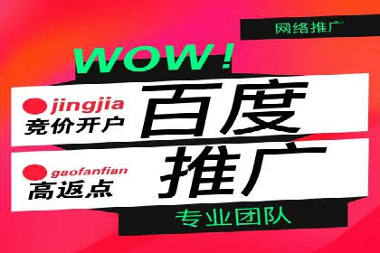 行业领先SEM托管代运营案例